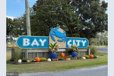 35841 S Canal Street #17849, Millsboro, DE 19966 - Photo 37