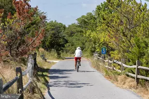 35788 Tarpon Dr, Lewes, DE 19958 - Photo 119