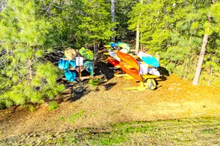 34258 Spring Brook Ave, Lewes, DE 19958 - Photo 37