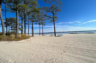 32846 Tern Cove, Long Neck, DE 19966 - Photo 47