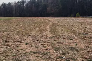 Lot 1 Pepperbox Rd, Laurel, DE 19956 - Photo 15