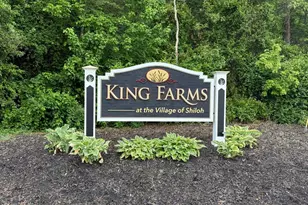28033 King Farms Rd, Laurel, DE 19956 - Photo 61