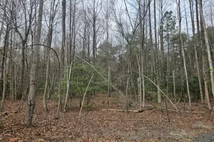 15410 Megan Joy Rd, Lincoln, DE 19960 - Photo 3