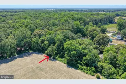 Holly Tree Road, Millsboro, DE 19966 - Photo 15