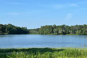 146 Tobin Dr, Milton, DE 19968 - Photo 41