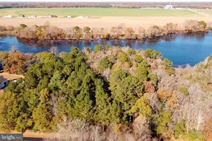 Lot 4 Reynolds Pond Rd, Ellendale, DE 19947 - Photo 1