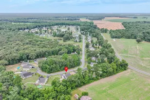 21359 Treeview Ln, Millsboro, DE 19966 - Photo 51