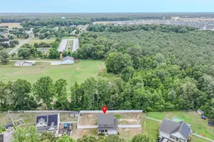 21359 Treeview Ln, Millsboro, DE 19966 - Photo 47