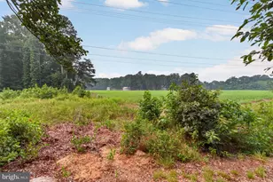 18154 Canners Ct, Milford, DE 19963 - Photo 67