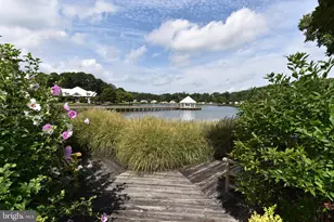 26601 Whitewater Cove, Long Neck, DE 19966 - Photo 23