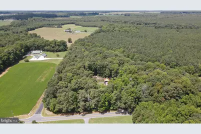 6375 Nine Foot Road, Greenwood, DE 19950 - Photo 3