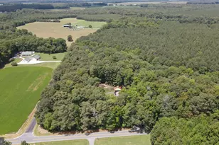 6375 Nine Foot Rd, Greenwood, DE 19950 - Photo 3
