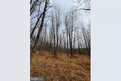 6452-B General Drive #BURKE, Mount Airy, MD 21771 - Photo 5