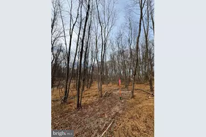 6468-B General Drive #WALBERT, Mount Airy, MD 21771 - Photo 5