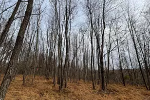 6468-C General Dr, Mount Airy, MD 21771 - Photo 11