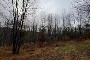 6452 General Dr, Mount Airy, MD 21771 - Photo 7