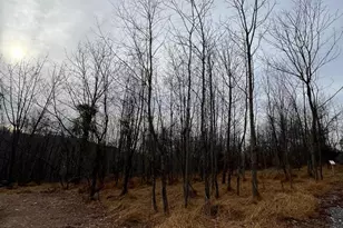 6452 General Dr, Mount Airy, MD 21771 - Photo 5