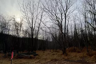 6452 General Dr, Mount Airy, MD 21771 - Photo 15