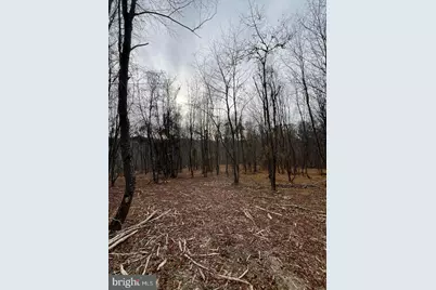 6460 General Drive #ASHCROFT, Mount Airy, MD 21771 - Photo 7