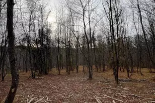 6460 General Dr, Mount Airy, MD 21771 - Photo 7