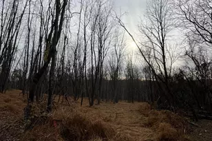 6460 General Dr, Mount Airy, MD 21771 - Photo 11