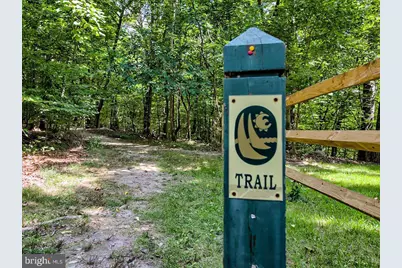 6721 Balmoral Overlook, New Market, MD 21774 - Photo 7