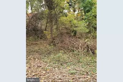 E D Street, Brunswick, MD 21716 - Photo 3