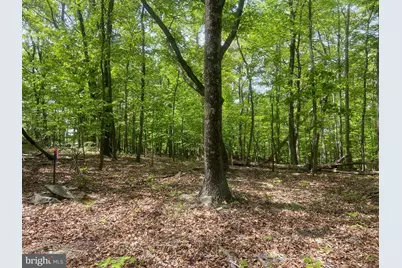 4740 Ford Fields Road, Myersville, MD 21773 - Photo 125