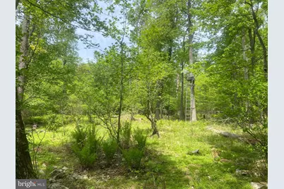 4740 Ford Fields Road, Myersville, MD 21773 - Photo 109