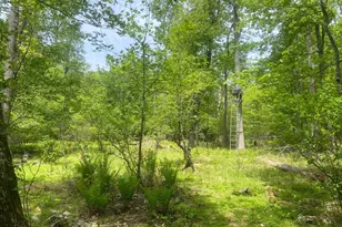 4740 Ford Fields Rd, Myersville, MD 21773 - Photo 109