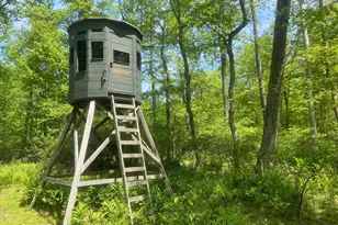 4740 Ford Fields Rd, Myersville, MD 21773 - Photo 129