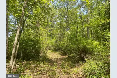 4740 Ford Fields Road, Myersville, MD 21773 - Photo 127