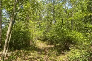 4740 Ford Fields Rd, Myersville, MD 21773 - Photo 127