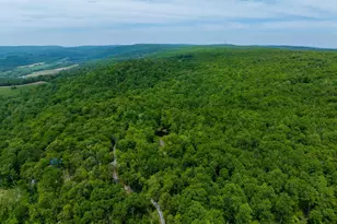 4740 Ford Fields Rd, Myersville, MD 21773 - Photo 11