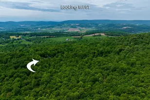 4740 Ford Fields Rd, Myersville, MD 21773 - Photo 7