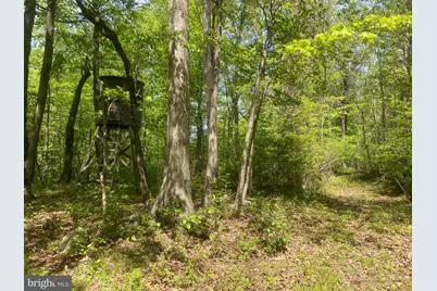 4740 Ford Fields Road, Myersville, MD 21773 - Photo 135