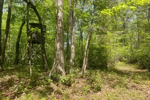 4740 Ford Fields Rd, Myersville, MD 21773 - Photo 135