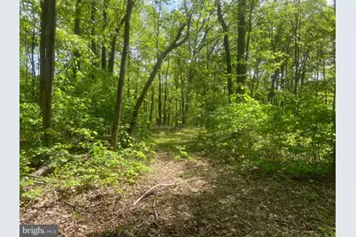 4740 Ford Fields Road, Myersville, MD 21773 - Photo 137