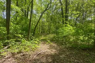 4740 Ford Fields Rd, Myersville, MD 21773 - Photo 137