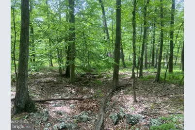 4740 Ford Fields Road, Myersville, MD 21773 - Photo 117