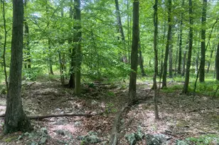 4740 Ford Fields Rd, Myersville, MD 21773 - Photo 117