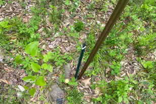 4740 Ford Fields Rd, Myersville, MD 21773 - Photo 123