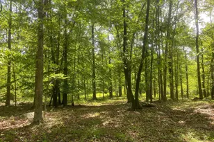 4740 Ford Fields Rd, Myersville, MD 21773 - Photo 139