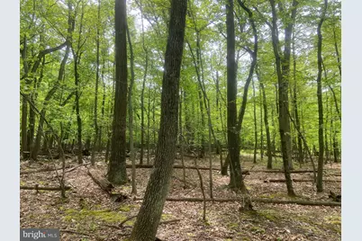 4740 Ford Fields Road, Myersville, MD 21773 - Photo 111