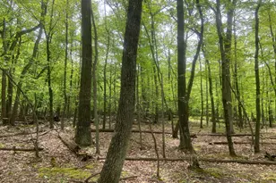 4740 Ford Fields Rd, Myersville, MD 21773 - Photo 111