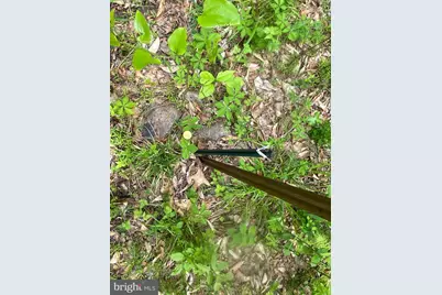 4740 Ford Fields Road, Myersville, MD 21773 - Photo 121