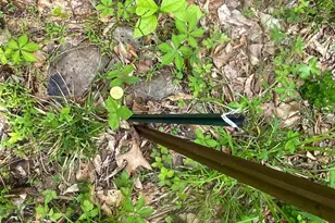 4740 Ford Fields Rd, Myersville, MD 21773 - Photo 121