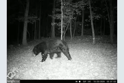 4740 Ford Fields Road, Myersville, MD 21773 - Photo 145