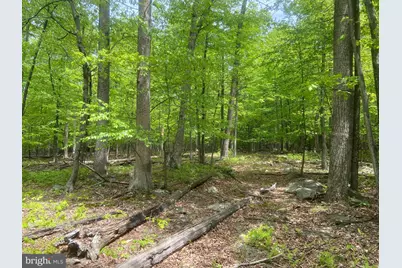 4740 Ford Fields Road, Myersville, MD 21773 - Photo 115