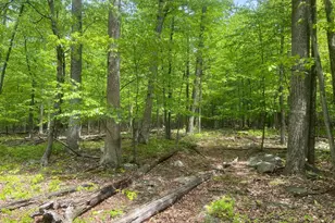 4740 Ford Fields Rd, Myersville, MD 21773 - Photo 115